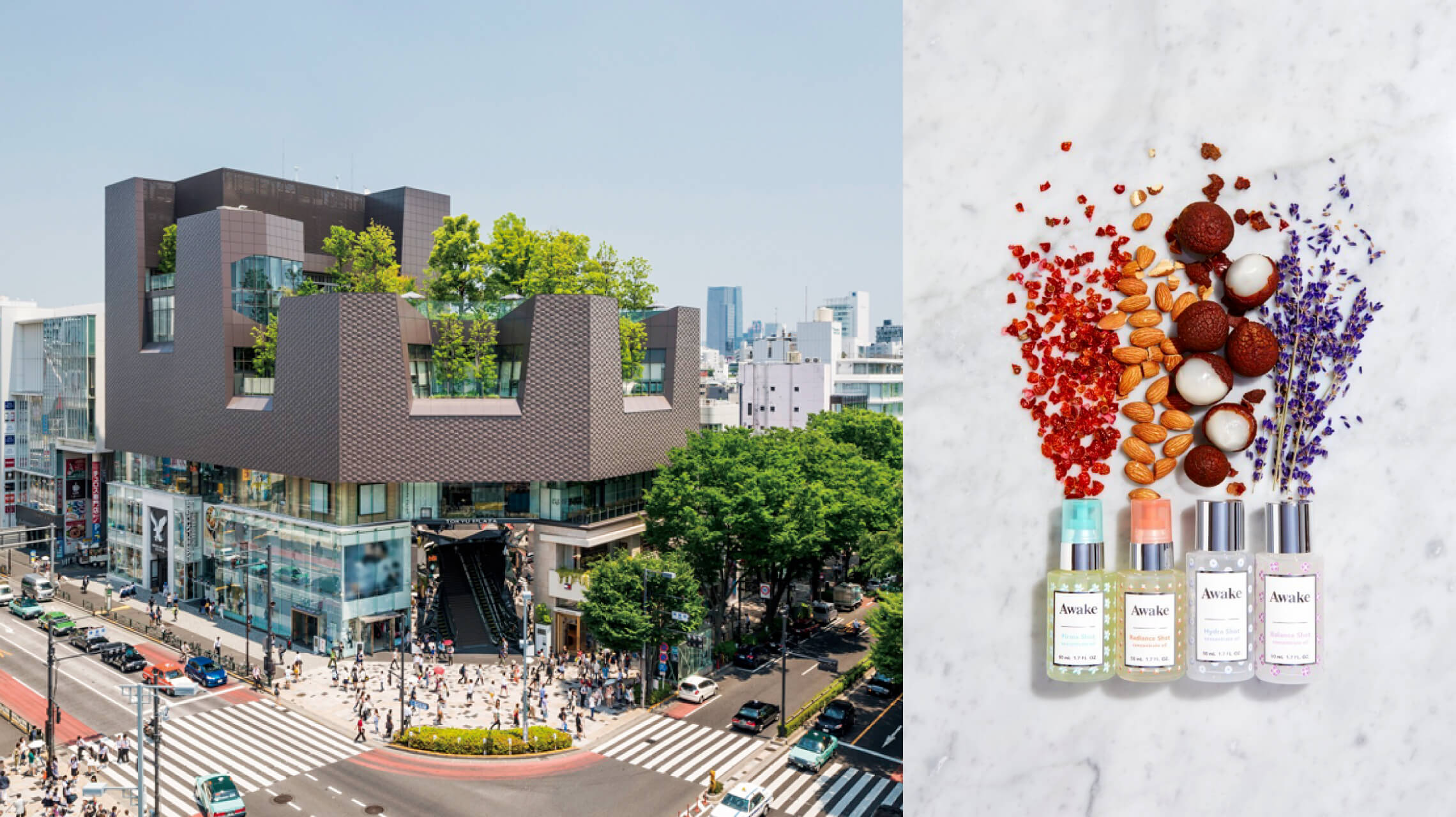 東急プラザ表参道原宿がリニューアル。”天空のスタバ”も改装してパワーアップ