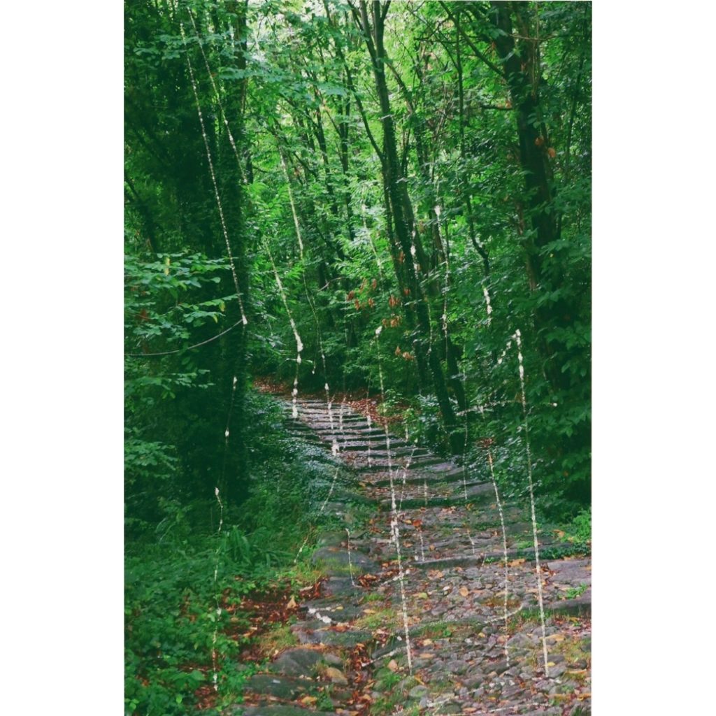《PATH》[Editions CR: 176], 2018<br/>
Pigment print with scratches, 23 x 15 cm(image), ed. 19/25<br/>
(c) Gerhard Richter , Courtesy of  WAKO WORKS OF ART