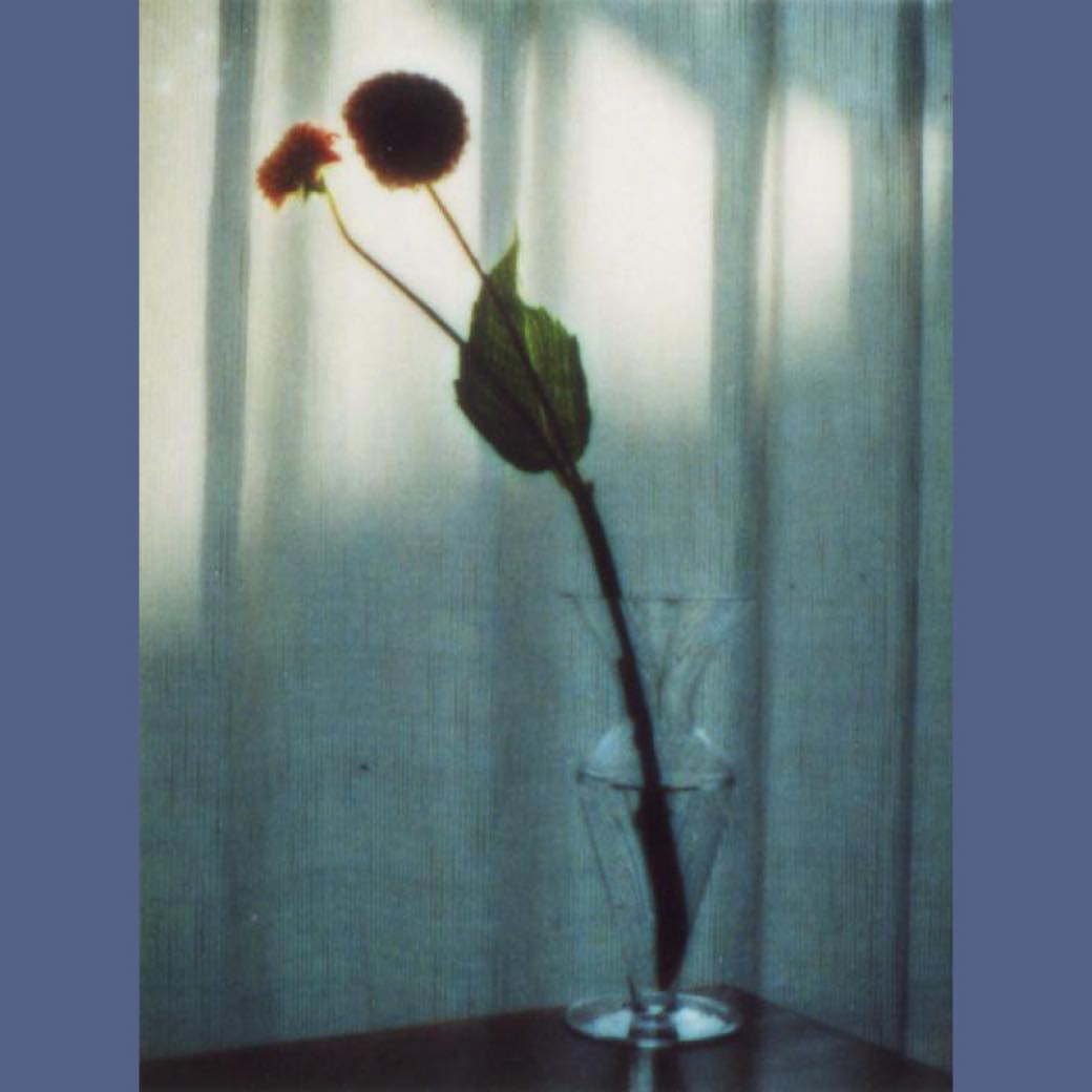 渋谷パルコで奥山由之×edenworks篠崎恵美の企画展「flowers」が開催中