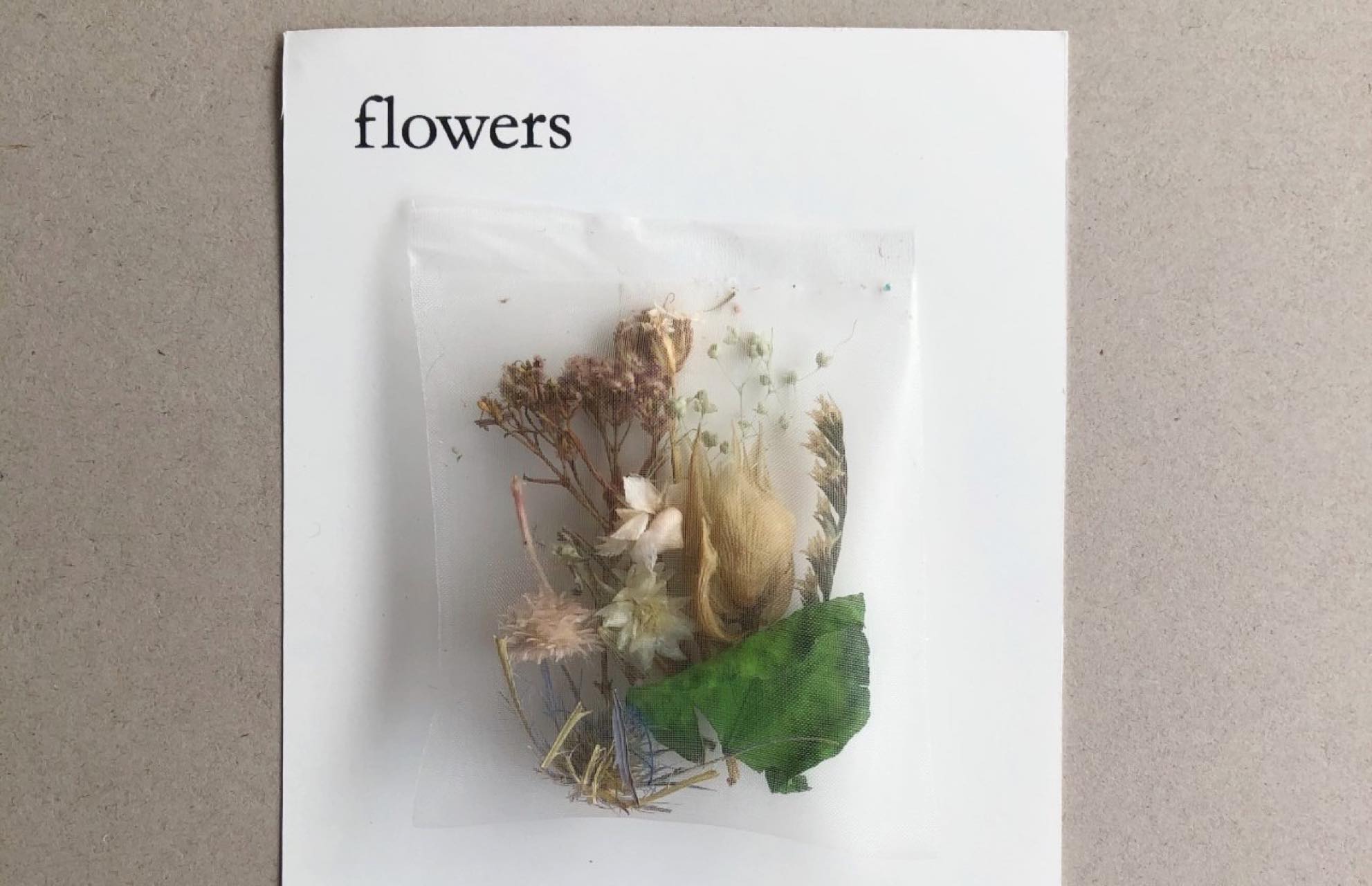 渋谷パルコで奥山由之×edenworks篠崎恵美の企画展「flowers」が開催中