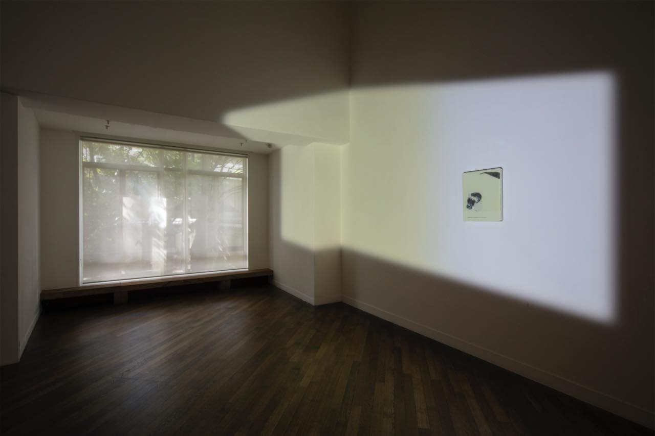 原美術館、品川での最後の展覧会が開幕。作品、建築、カフェそのすべてを味わう