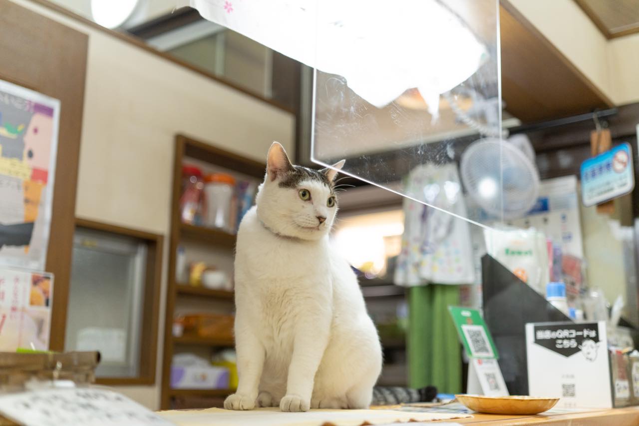 【10/30～11/1】今週末何をする？休日を充実させるおすすめモノ・ゴト5選