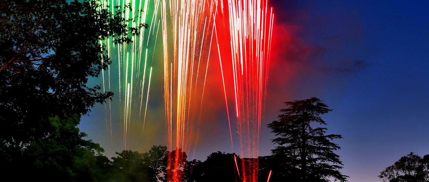 【開催終了】東京の夜空を新潟の花火が彩る。イタリア共和国記念日にスターマイン打ち上げ