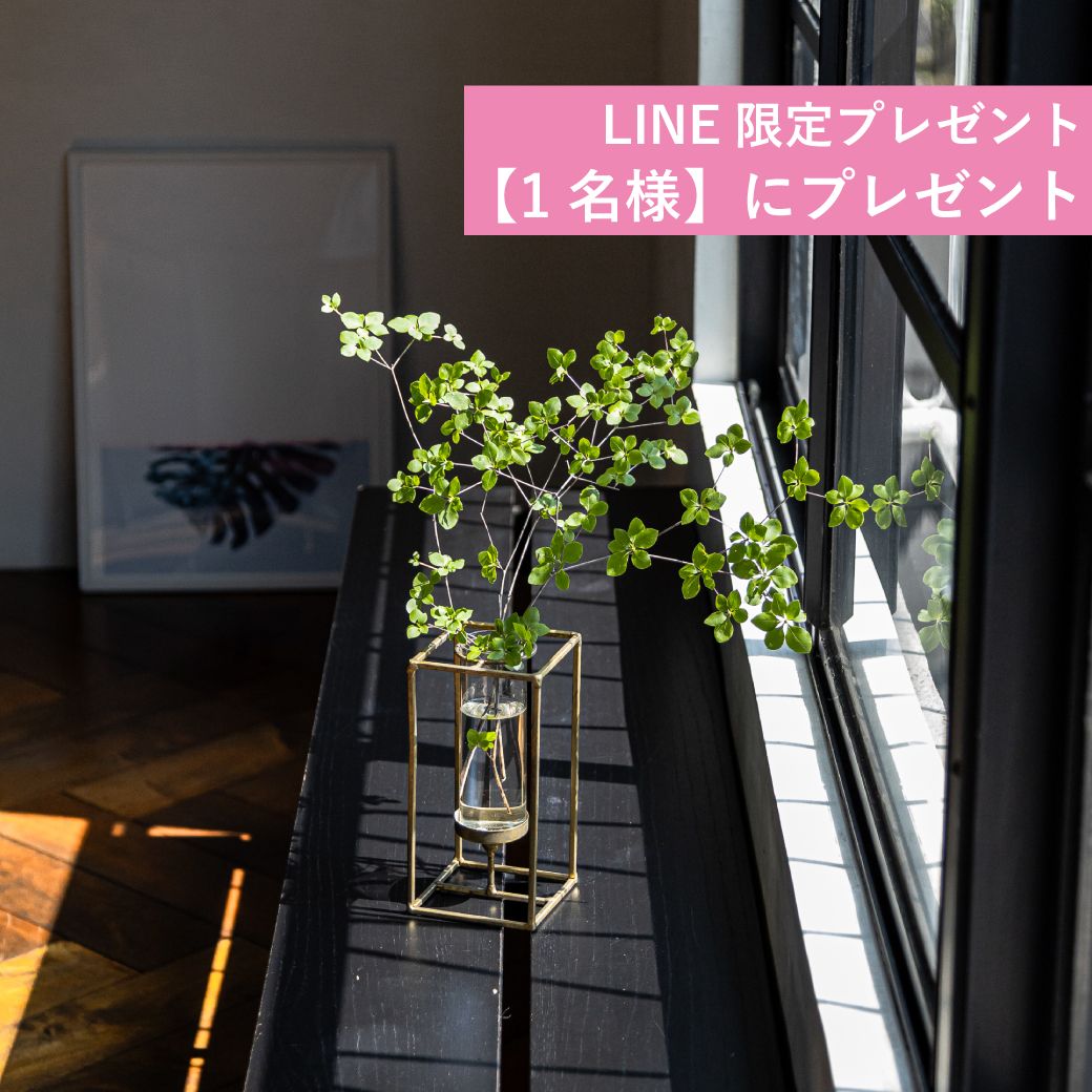 【1名様にプレゼント】季節の移ろいを部屋に。SiKiTOの花瓶で、日々を豊かに